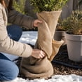thumbnail image 5 of Burlap Plant Frost Protection Blanket, 1x10M Winter Garden Tree Cover, Vegetable Insulation Wrap, Natural Jute Fabric for Plants, Shrubs, Frost Cloth for Outdoor Gardening, 5 of 7