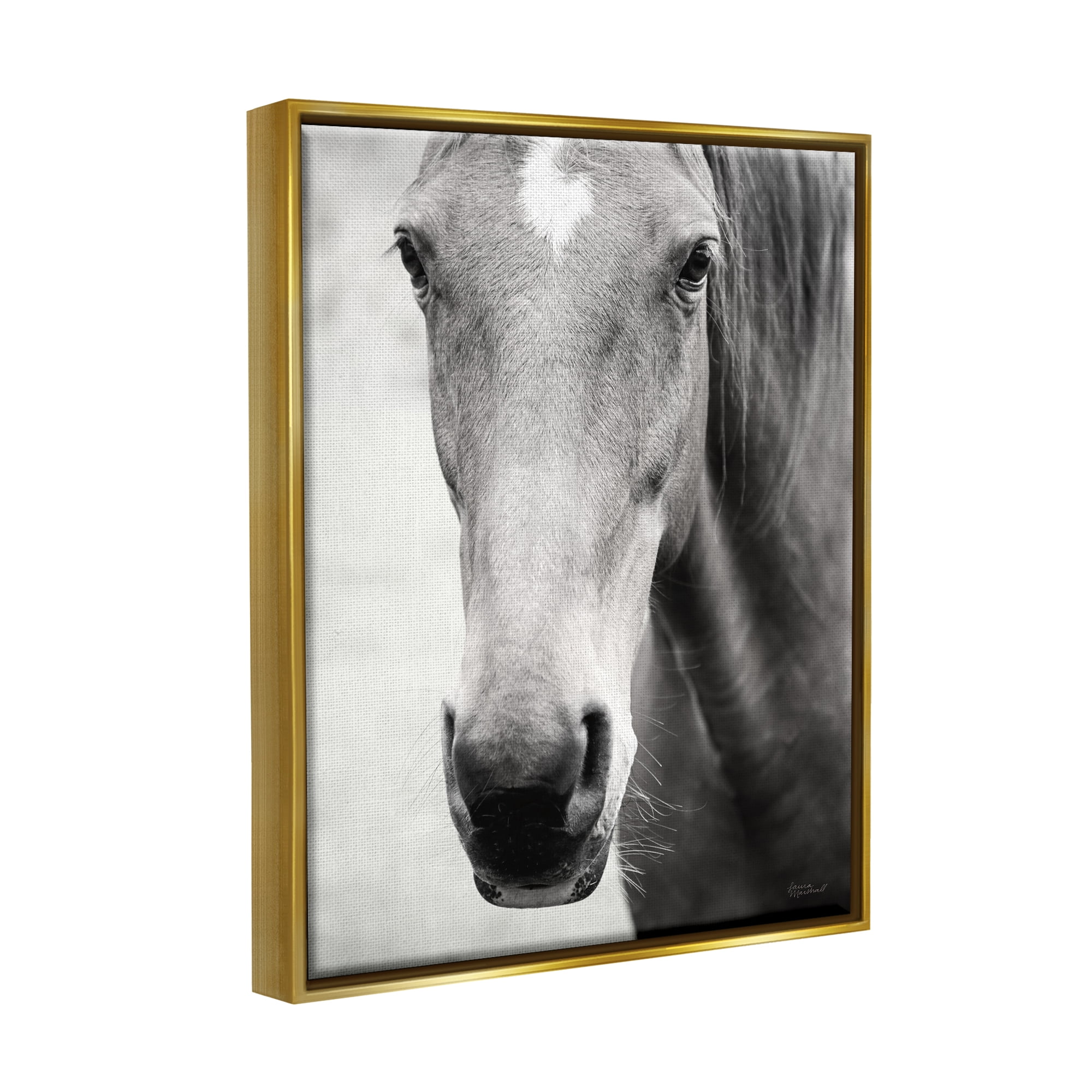 Stupell Industries Moke Lake Horse Photography Animals & Insects Photography Gold Floater Framed Art Print Wall Art, 17 x 21