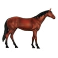 thumbnail image 3 of Modelo de AnatomíA de óRganos de Animales Juguete de Ensamblaje de Inteligencia de Caballo 4D Modelo de AnatomíA para EnseñAnza, Aparatos de Ciencia Populares DIY, 3 of 5