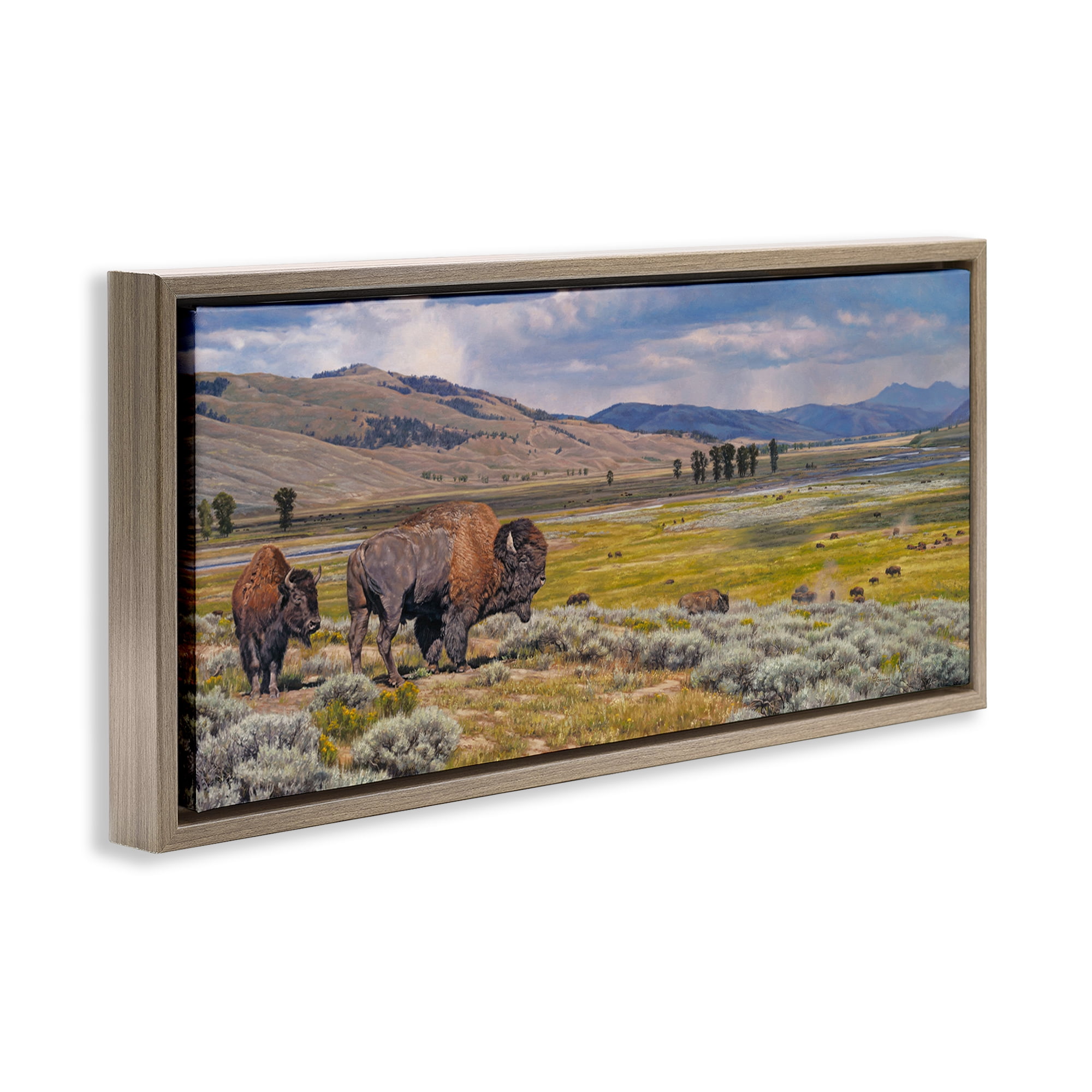 Stupell Industries Roaming Southwestern Bison Landscape Painting Brown Floater Framed Art Print Wall Art, 31 x 14