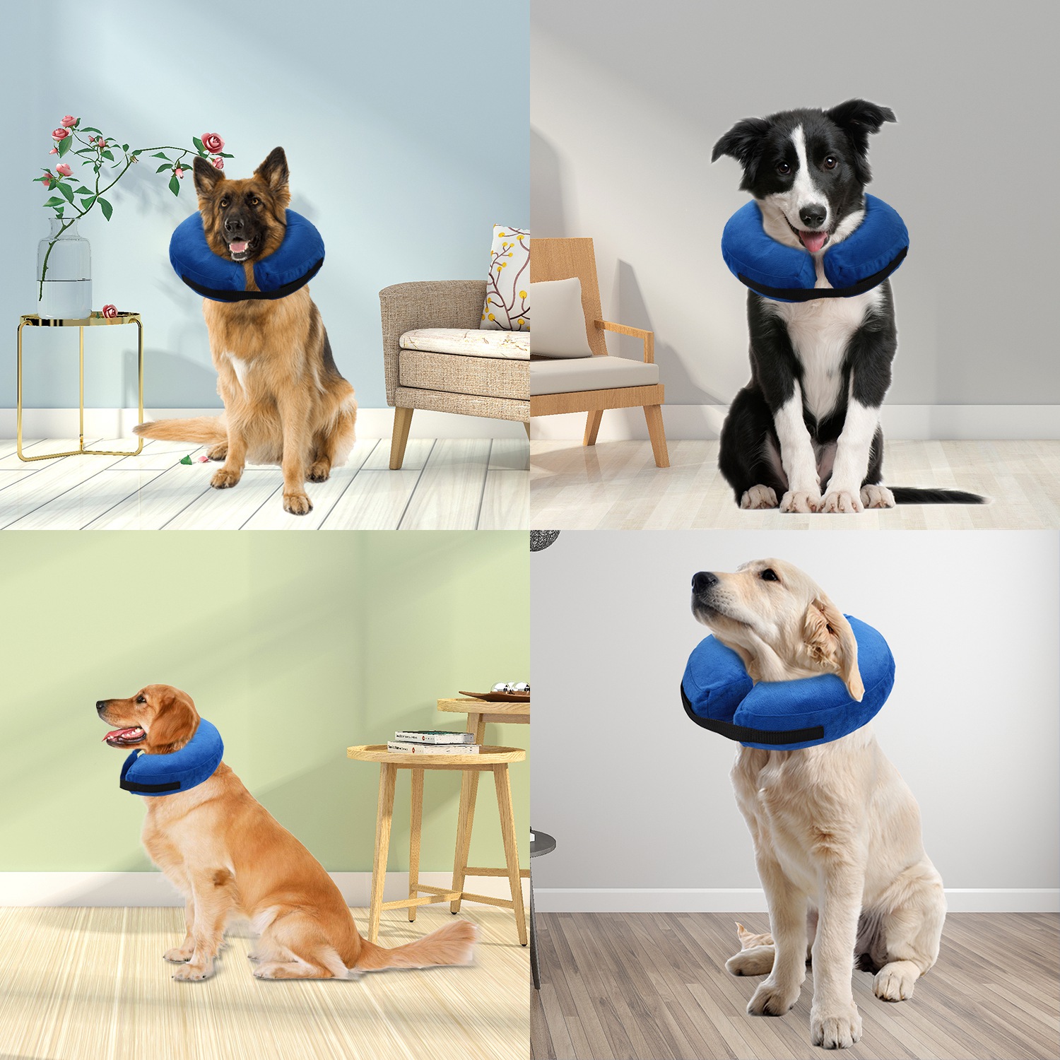 inflatable dog cone walmart