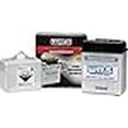thumbnail image 3 of WPS Western Power Sports Conventional 6V Standard Battery with Acid Pack, 3 of 3