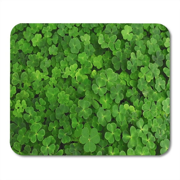 NUDECOR Leaf Large Green Clover Field in Forest Botany Closeup Color Day Flora Mousepad Mouse Pad Mouse Mat 9x10 inch