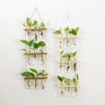thumbnail image 4 of Advancent Terrario de plantas para colgar en la pared: de fácil a amplia aplicación Tubos de propagación de plantas firmes y duraderos Type2 NO2, 4 of 6