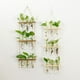 thumbnail image 4 of Advancent Tubos de propagación de plantas para colgar en la pared - Decoración fácil de instalar Forma hermosa Durable Jardín y Patio burlywood, 4 of 6