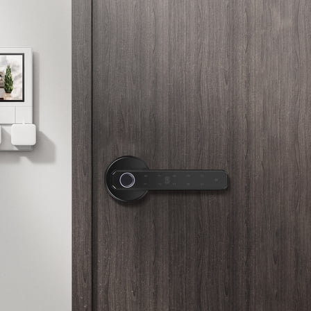 Electronic Handle Smart Door Knob Fingerprint Biometric Digital Code Door Lock