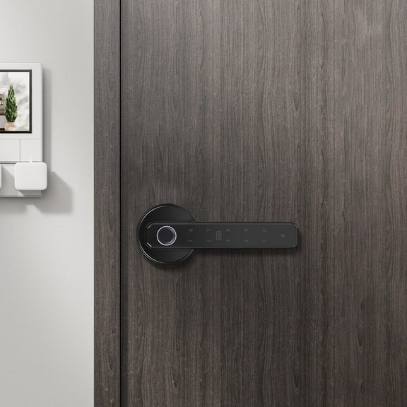 Electronic Handle Smart Door Knob Fingerprint Biometric Digital Code Door Lock