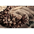 thumbnail image 4 of New Solaron Queen Size Flying Eagle Korean Mink Blanket, 4 of 6