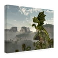 thumbnail image 4 of Trademark Fine Art 'Green Dragon' Canvas Art by Daniel Eskridge, 4 of 4