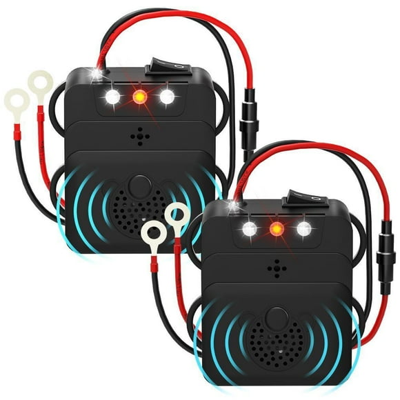 Squirrel Strobe Light