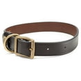 thumbnail image 2 of King Buck Premium Leather Collar, Leather, L/XL, 2 of 9