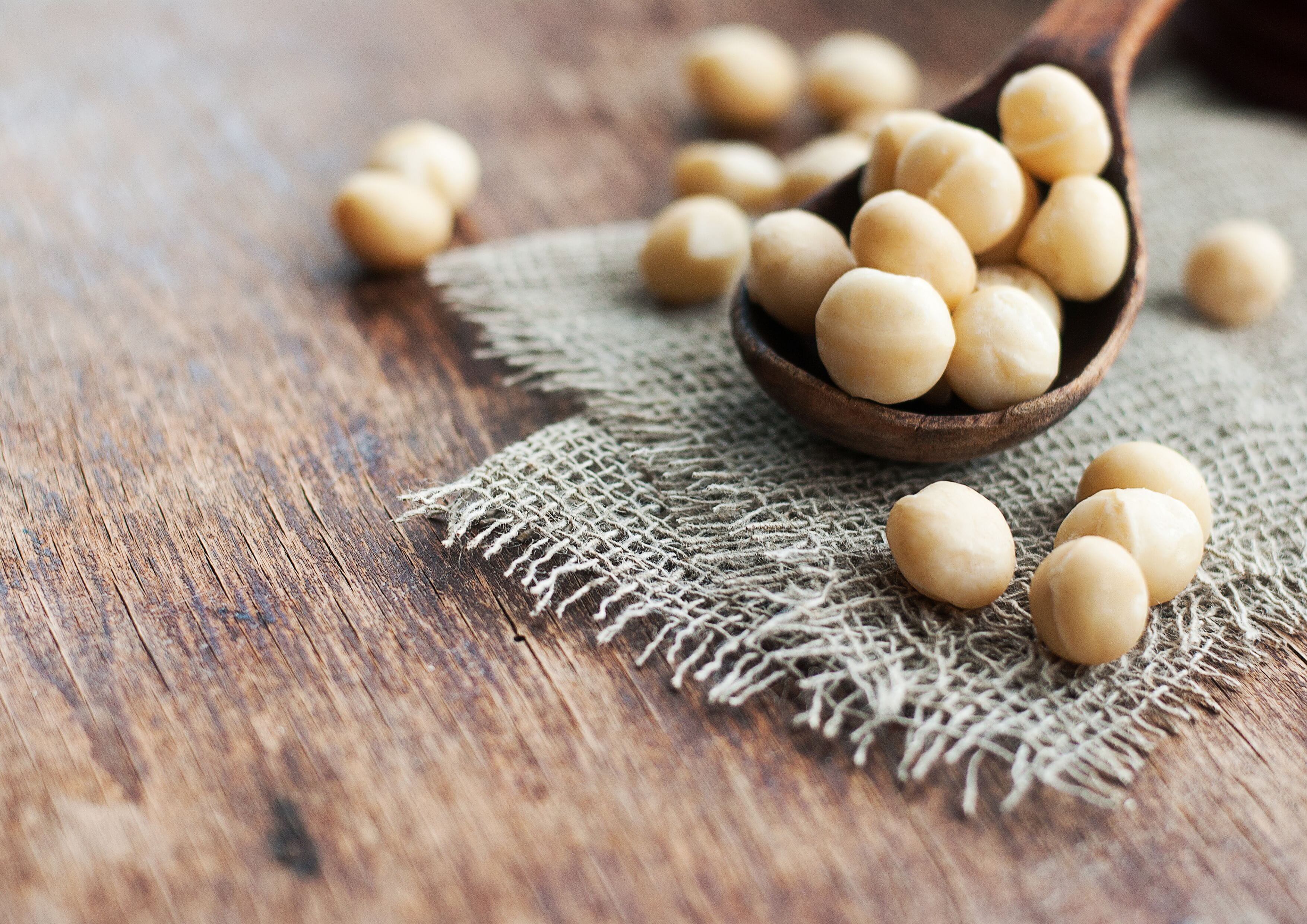 Organic Whole Macadamia Nuts, 8 Pounds - Non-GMO, Raw, Kosher, Vegan - by Food to Live