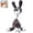 D, variant on Bisitoy Dog Toys, Rope Chew and Plush Squeaky Interactive Toy for Tough Biting