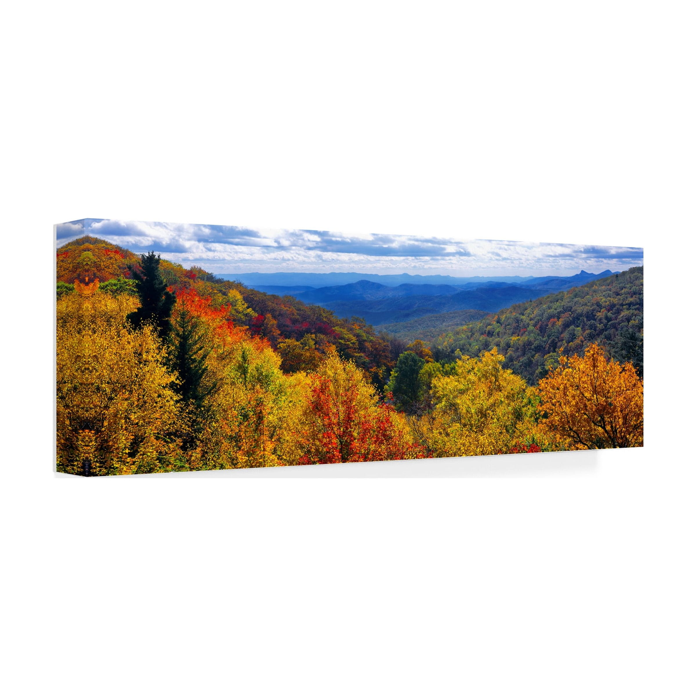 Trademark Fine Art 'Autumn Forest' Canvas Art by Doug Cavanah
