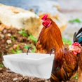 thumbnail image 5 of High-quality Plastic Chicken Trough 1 Set Chicken Trough Feeder Hanging with Hook Durable Impact-resistant Automatic Feeding for Poultry Goats, 5 of 6