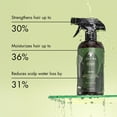 thumbnail image 4 of (3 pack) AS I Am Rosemary Water 16 fl. oz., All Hair Type, Moisturizing, Unisex, 4 of 9