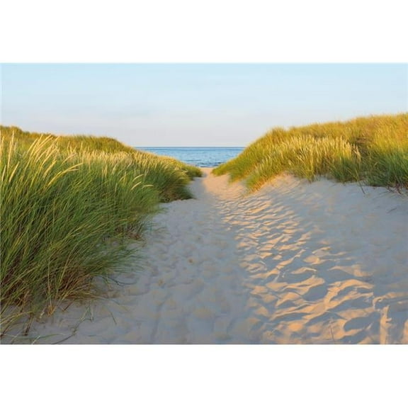 8 ft.-3 in. x 12 ft.-1 in. Sandy Path Wall Mural