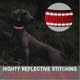 thumbnail image 2 of Collar reflectante ajustable básico con acolchado de neopreno suave, de nailon resistente, para cachorros, perros pequeños, medianos y grandes, rojo, talla M: 13-19.7 pulgadas, 2 of 5