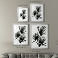 thumbnail image 4 of Wexford Home Fan Brush I Premium Framed Print, 18.5" x 24.5" - Ready to Hang, Silver (Set of 2), 4 of 9
