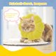 thumbnail image 5 of Collar ajustable amarillo para gatos, collar antimordeduras para gatos, collar antilamidos posquirúrgico, collar protector para gatos, collar de recuperación para gatos y cachorros, 5 of 5