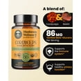 thumbnail image 2 of Suplemento Herb Pharm Mushroom Wellness Cordyceps Blend, 2 of 6