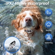 Smart Dog Bark Collar for Dogs Smart Ultrasonic Deterrent Device Rechargeable Anti Barking Collar