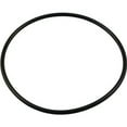 thumbnail image 3 of Pentair PacFab 39200300 2-360 Buna-N 70SH Volute O-Ring for Eagle Pump, 3 of 3