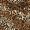 Caramel Sand, variant on Manfei Gold Zebra Leopard Twin Comforter Sets, Tiger Stripe Blend Bedding Set, Black Reversible 2 Pieces 1 Comforter and 1 Pillowcase