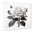 thumbnail image 2 of Designart "Monochrome Pencil Drawing of a Rose" Floral Framed Wall Art Decor - Traditional Grey Rose Hallway Framed Wall Art Decor, 2 of 6