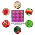 thumbnail image 2 of 1200W A Mené des Lumières Full Spectrum VEG Bloom Élèvent la Lampe pour le Panneau Intérieur de Plantes, 2 of 10
