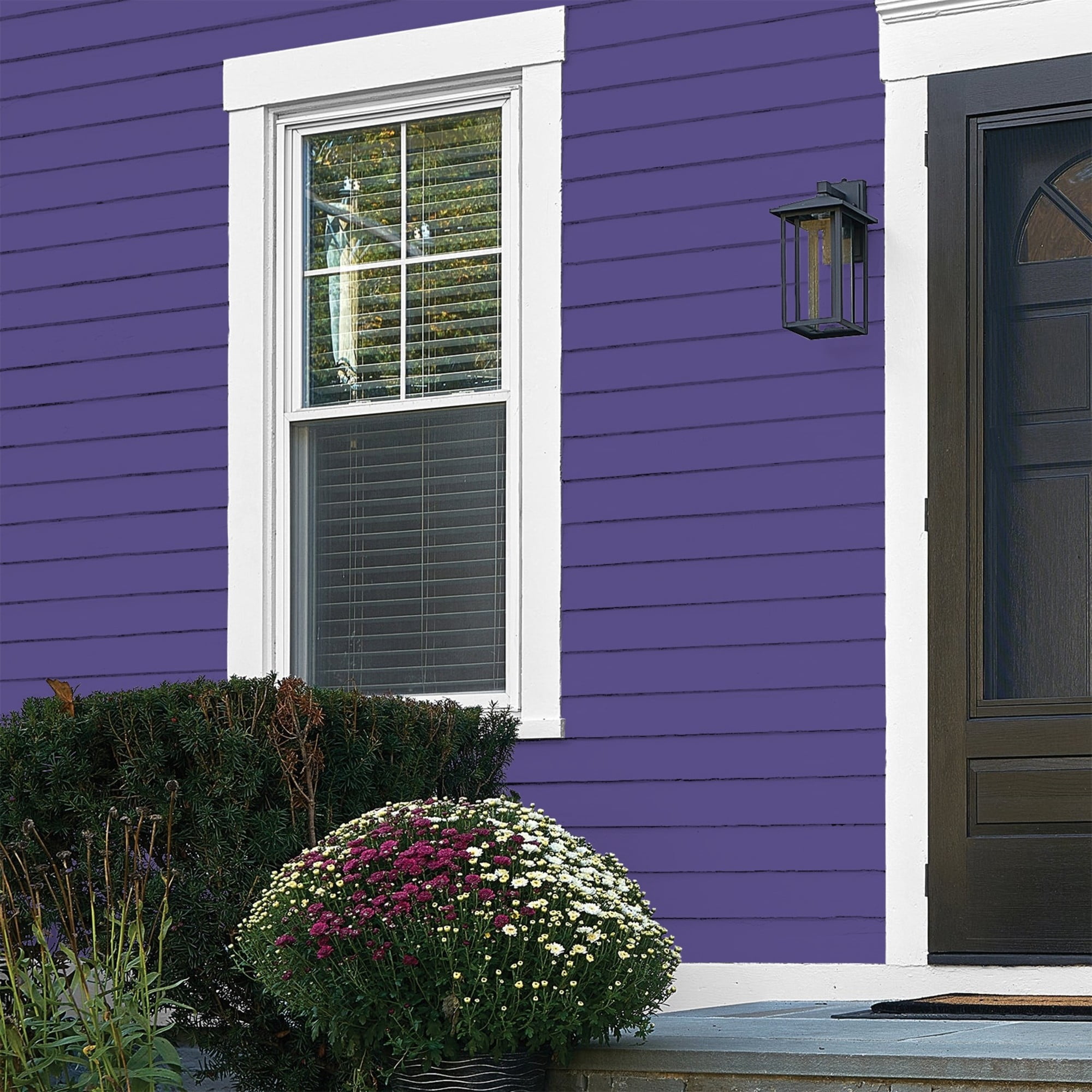 Glidden One Coat Eggplant / Purple Flat Exterior Paint with Primer, 1 Gallon