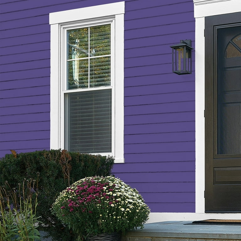 Glidden One Coat Eggplant / Purple Flat Exterior Paint with Primer