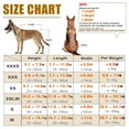 thumbnail image 3 of Silla de ruedas para perros LetPetRun ajustable, ligera, talla extra pequeña, 3 of 6