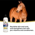 thumbnail image 2 of Absorbine ShowSheen Champú y Acondicionador 2 en 1 591 ml, 2 of 5