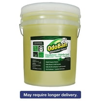 OdoBan Professional Series Deodorizer Disinfectant 5gal Pail Eucalyptus Scent (ODO9110625G)