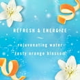 thumbnail image 3 of Febreze Plug Dual Refill Air Freshener Refresh Energize - 2ct, 3 of 3