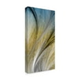 thumbnail image 2 of Trademark Fine Art 'Fountain Grass IV' Canvas Art by James Burghardt, 2 of 4