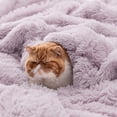 thumbnail image 4 of Soft Lavender Twin Blanket for Bed, Fluffy Fuzzy Blankets Twin Size for Couch, Sofa, Cozy Plush Sherpa Fleece Faux Fur Blanket, Thick Warm Christmas Blanket Gifts for Women, Men, 60x80, 4 of 16