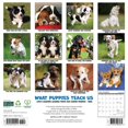 thumbnail image 2 of Willow Creek Press, What Puppies Teach Us 2025 Wall Calendar, 2 of 4