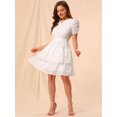 thumbnail image 3 of INSPIRE CHIC Women's Tie Neck Ruched Sleeve Elastic Waist A-Line Double Layers Ruffle Hem Short Dress, 3 of 6