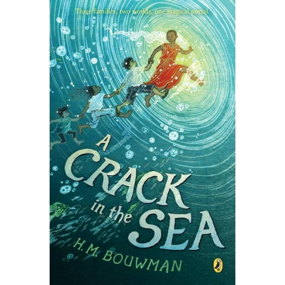 A Crack in the Sea (Paperback)