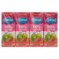 thumbnail image 2 of Rubicon Guava and Apple NSA, 2 of 11