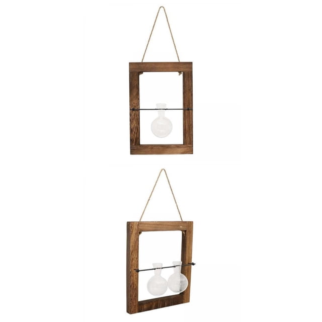 GUOOL 2pcs Propagation Station Vase Glass Planter Bulb Tubes Ornament Terrarium