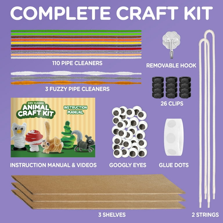  Art and Crafts Kit for Kids Ages 8-12, Create and Display  Animals, Kit Includes Supplies & Instruction, Best Craft Project for Kids  Ages 7,8,9,10,11,12 Great Gift! : Toys & Games