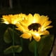 thumbnail image 5 of Lámpara solar de inserción para exteriores, lámpara de girasol de simulación a prueba de agua, lámpara decorativa para jardín, lámpara solar para césped, 5 of 5
