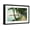 Black Frame, variant on Art.com Palm Beach, Florida - View of the Walk Along Lake Worth Art Print by Lantern Press, White Frame Wall Art, 29" x 21"