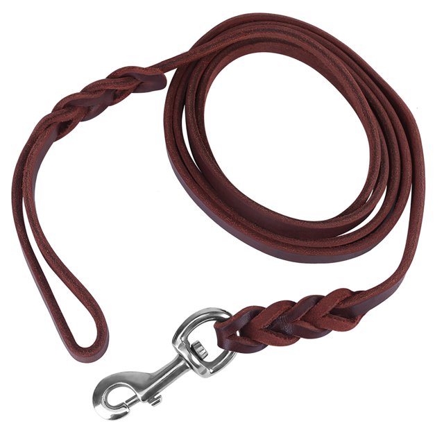 Dog Leash, Reliable Quality Ergonomic For Home
