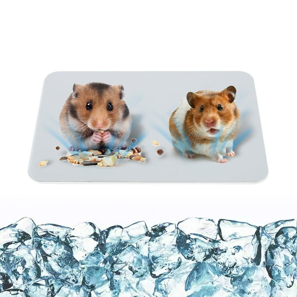 Hamster cooling pad discount
