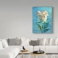 thumbnail image 3 of Trademark Fine Art 'Red Rose On Table' Canvas Art by Hall Groat Ii, 3 of 3