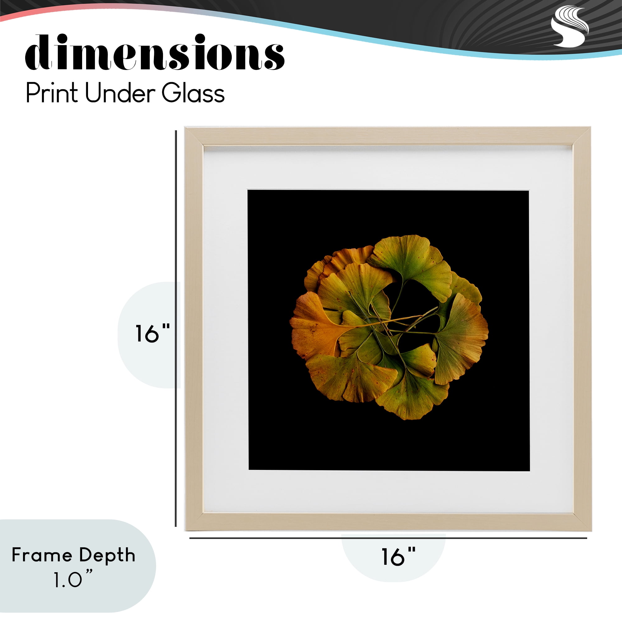 Stupell Industries Overlapping Ginkgo Leaves Birch Framed Print Under Glass, design by Beth Adoette
